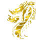 Logo DR Black